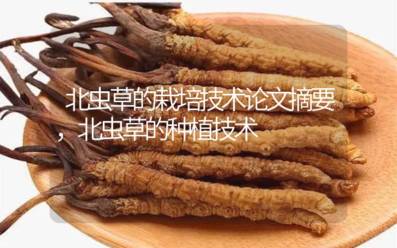 北蟲草的栽培技術(shù)論文摘要，北蟲草的種植技術(shù)