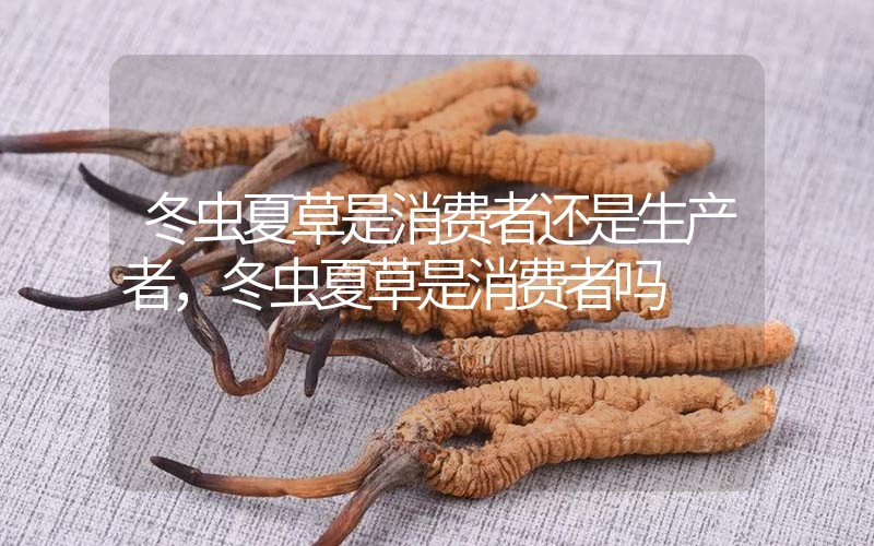 貧血吃冬蟲夏草有效果嗎，貧血虛弱者可以用冬蟲夏草嗎？