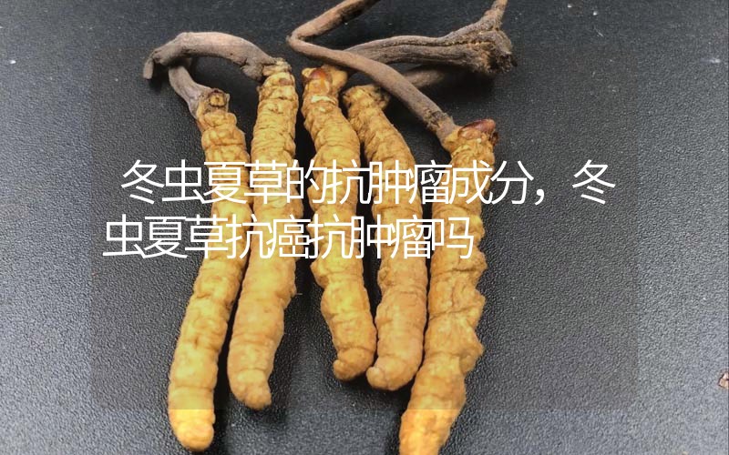 冬蟲夏草的抗腫瘤成分，冬蟲夏草抗癌抗腫瘤嗎？