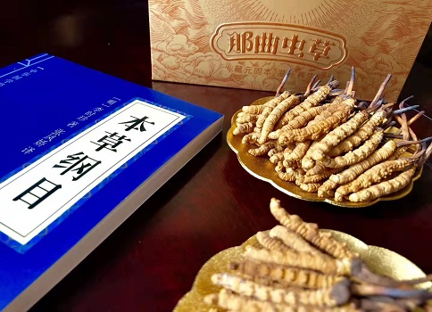 冬蟲夏草真就那么好嗎？它的主要功能是什么呀