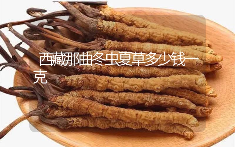 西藏那曲冬蟲(chóng)夏草多少錢一克？