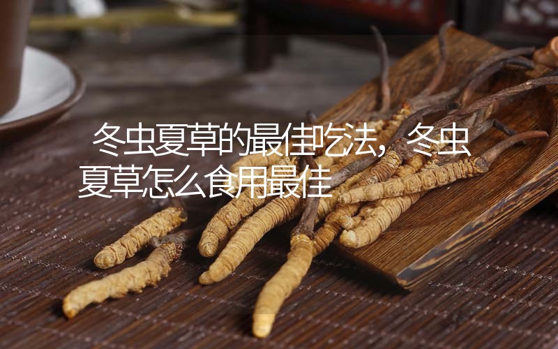 冬蟲夏草的最佳吃法，冬蟲夏草怎么食用最佳