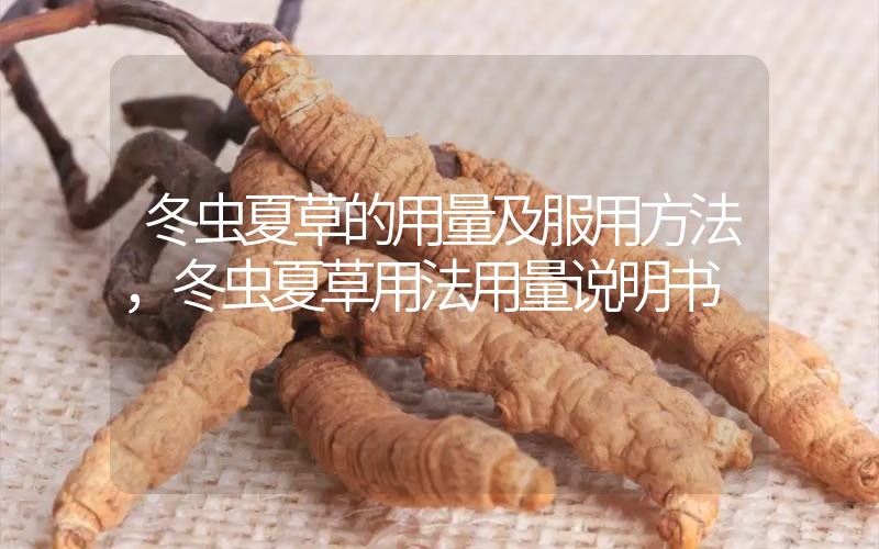 冬蟲夏草的用量及服用方法，冬蟲夏草用法用量