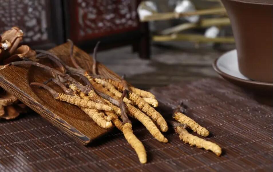 冬蟲夏草怎么選擇，冬蟲夏草選怎么樣的最好?