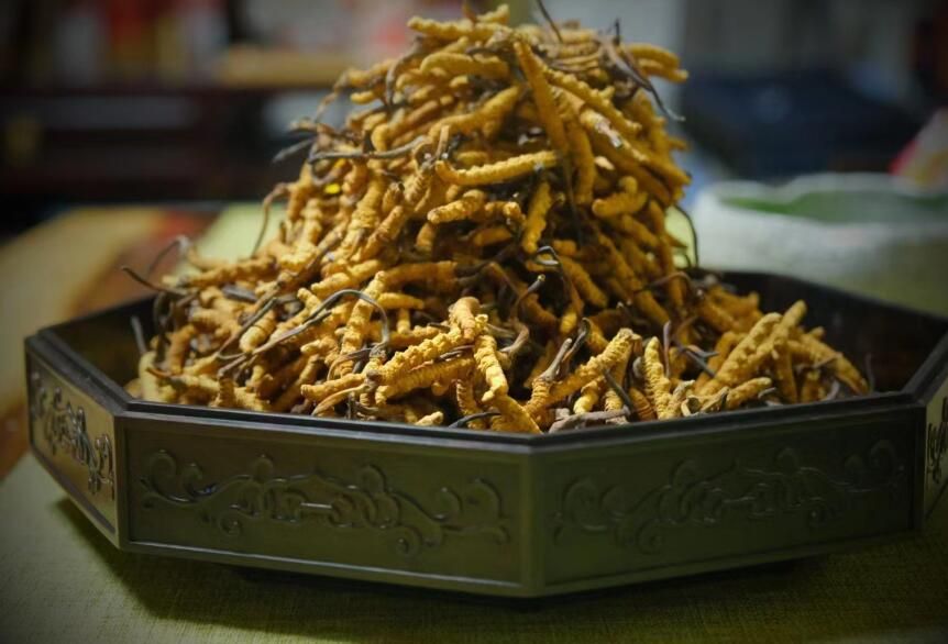 <a href=http://m.gdyuntian.com/ target=_blank class=infotextkey>冬蟲夏草</a>