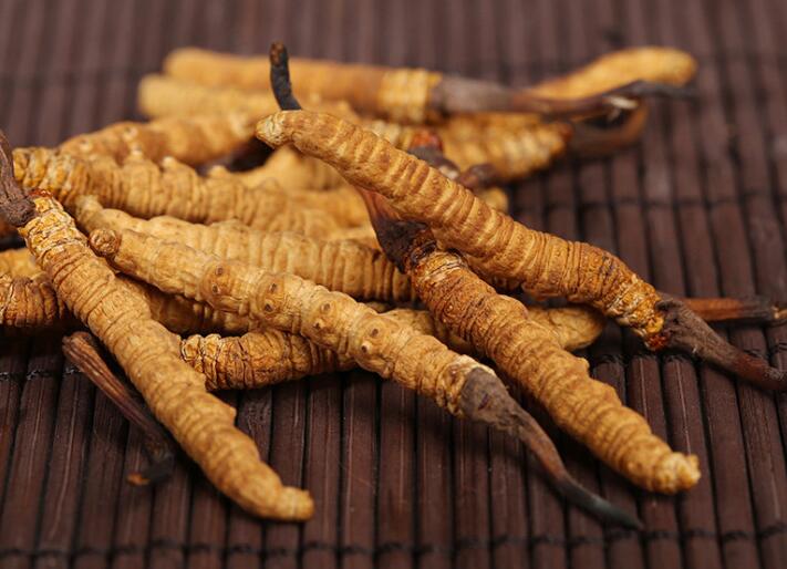 什么樣的冬蟲夏草算是優(yōu)質(zhì)的？