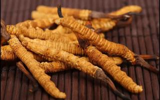 冬蟲夏草變質(zhì)了還可以吃嗎？