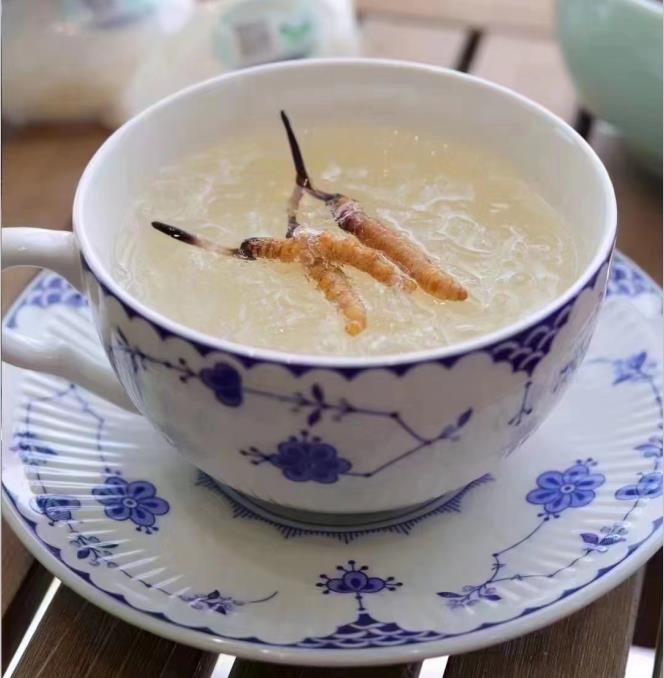 養(yǎng)生小竅門：冬蟲夏草燉什么好喝？