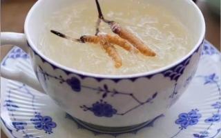 冬蟲(chóng)夏草燉燕窩怎么做？