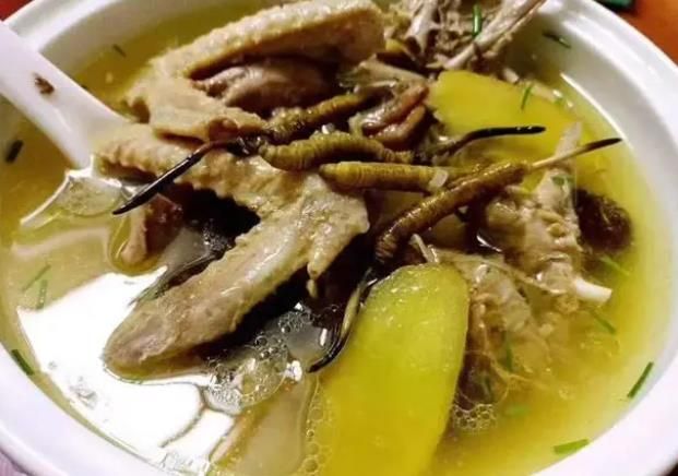 冬蟲夏草和哪些食材可以一起煲湯？