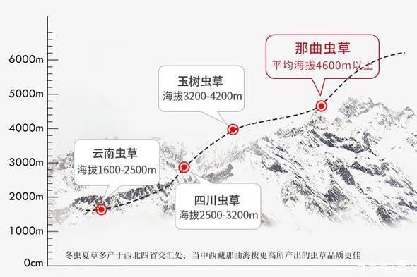 冬蟲夏草20大產(chǎn)區(qū)