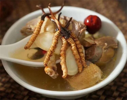 冬蟲夏草可以燉海鯽魚嗎？