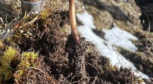 <a href=http://m.gdyuntian.com/xinxian/ target=_blank class=infotextkey>新<a href=http://m.gdyuntian.com/xinxian/ target=_blank class=infotextkey>鮮冬蟲夏草</a></a>存放