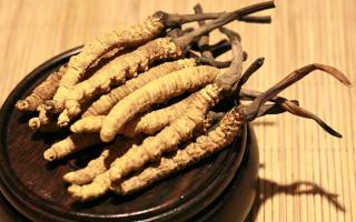 冬蟲夏草的價格一克：為何如此昂貴？