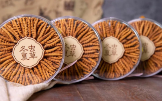 冬蟲夏草一盒多少錢？全方位剖析價格構成