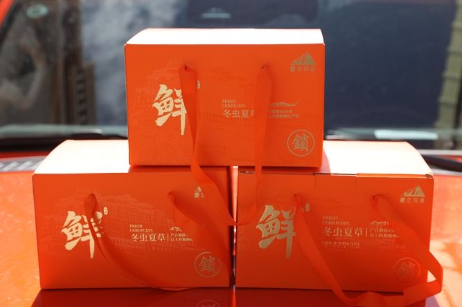 當(dāng)冬蟲(chóng)夏草邂逅橘色包裝：奢華與文化的交融