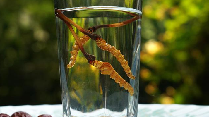 <a href=http://m.gdyuntian.com/xinxian/ target=_blank class=infotextkey>鮮冬蟲夏草</a>怎么泡好吃？這些配方讓滋補(bǔ)更有滋味