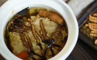 吃新鮮冬蟲(chóng)夏草最佳吃法
