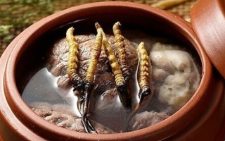 鮮冬蟲(chóng)夏草吃多會(huì)上火嗎？一文解析真相