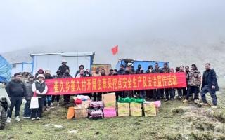 西藏加查：蟲(chóng)草采挖季 黨群同心共繪豐收畫(huà)卷