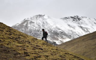 雪域珍寶：探秘鮮那曲冬蟲夏草的獨(dú)特魅力