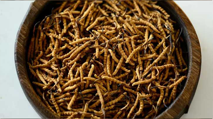 <a href=http://m.gdyuntian.com/jiage/ target=_blank class=infotextkey>冬蟲夏草價(jià)格</a>探秘：多因素交織下的市場行情