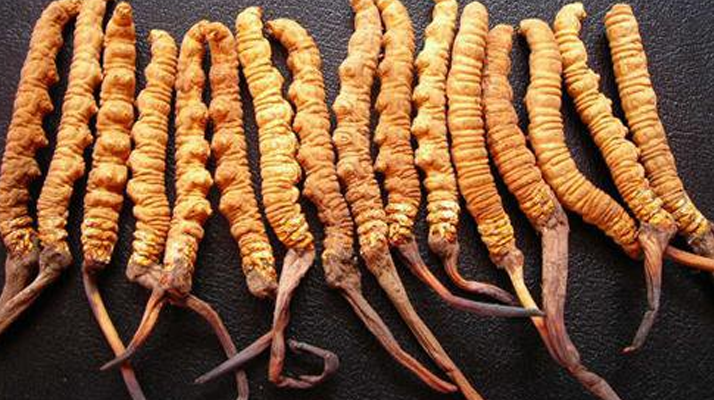 純野生<a href=http://m.gdyuntian.com/jiage/ target=_blank class=infotextkey>冬蟲夏草多少錢</a>一克？價(jià)格背后的秘密?