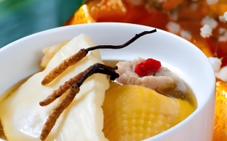 冬蟲夏草每天什么時候吃最好？一文詳解最佳食用時間