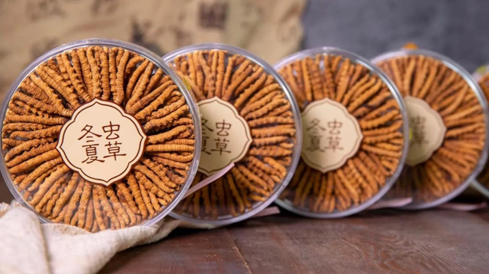 2025年7月冬蟲夏草價格行情公布！<a href=http://m.gdyuntian.com/jiage/ target=_blank class=infotextkey>蟲草價格</a>降了！