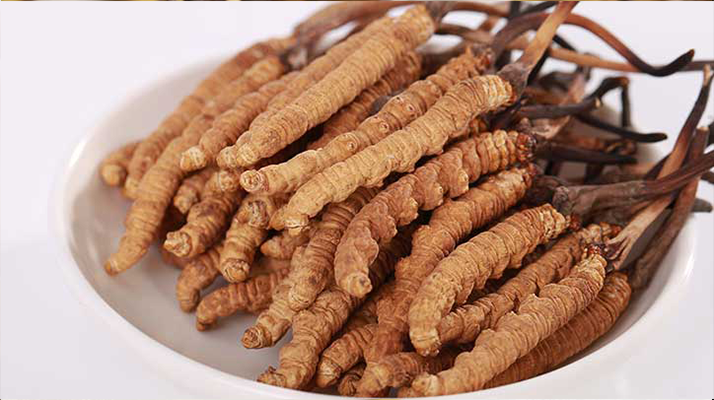 冬蟲夏草燉水鴨，搭配這些食材更滋補(bǔ)