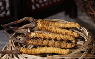 冬蟲(chóng)夏草長(zhǎng)期貯存方法