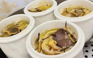 泡冬蟲(chóng)夏草用什么酒