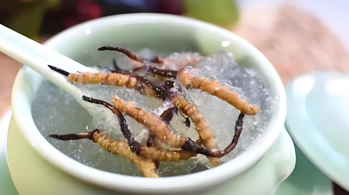 什么時(shí)候吃冬蟲(chóng)夏草好