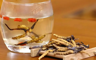 冬蟲(chóng)夏草與枸杞能一起泡酒嗎？科學(xué)搭配與飲用指南