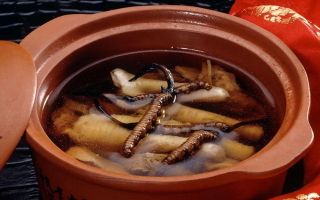 糖尿病可服用冬蟲夏草嗎？科學(xué)解析其調(diào)理價值與注意事項