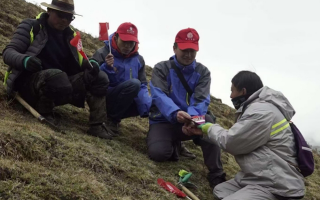 冬蟲(chóng)夏草：把握最佳采摘季，守護(hù)自然饋贈(zèng)