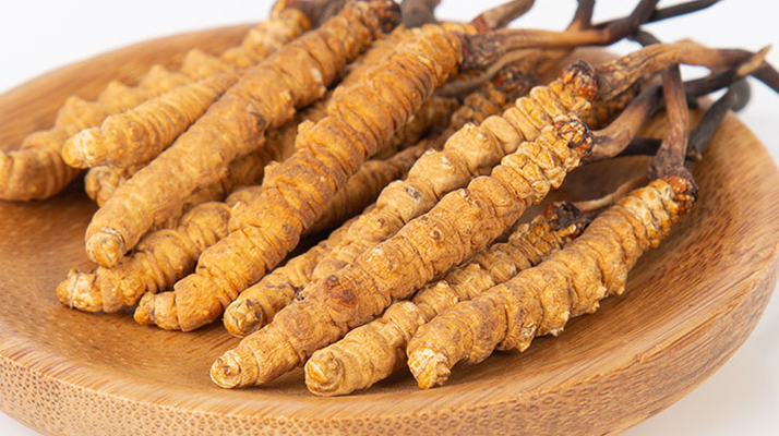 冬蟲夏草，真有那么大效果？