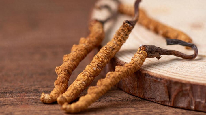 純野生<a href=http://m.gdyuntian.com/jiage/ target=_blank class=infotextkey>冬蟲夏草價(jià)格</a>剖析：多因素交織下的價(jià)值體現(xiàn)