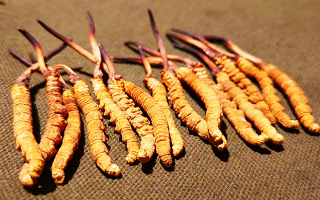 抖音上的冬蟲夏草能買嗎？謹慎抉擇，理性消費