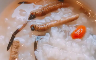 冬蟲夏草適合哪些人群？精準(zhǔn)匹配與禁忌提醒