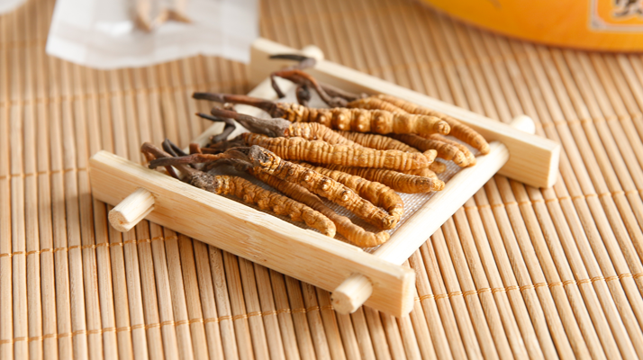  冬蟲夏草效果好不好用？看適用場景與人群，理性看待才不踩坑