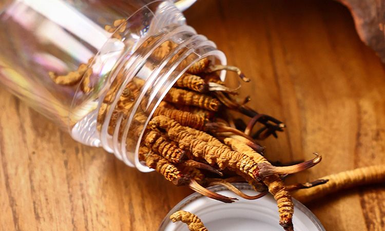 <a href=http://m.gdyuntian.com/jiage/ target=_blank class=infotextkey>冬蟲夏草多少錢</a>一條 