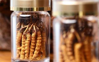 送冬蟲夏草給男孩子好嗎？分場景分析 + 送禮建議