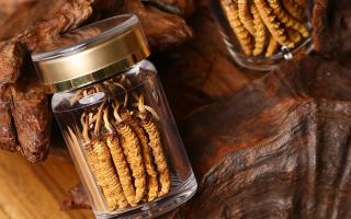 鮮冬蟲夏草泡水后怎么保存？3 種場景保存方法 + 避坑指南