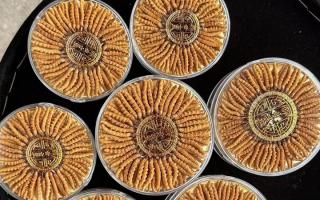 什么白酒適合泡冬蟲夏草？4 大標準 + 泡制指南