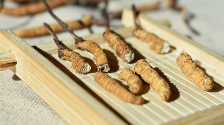 斷的<a href=http://m.gdyuntian.com/ target=_blank class=infotextkey>冬蟲夏草</a>一克啥價(jià) 