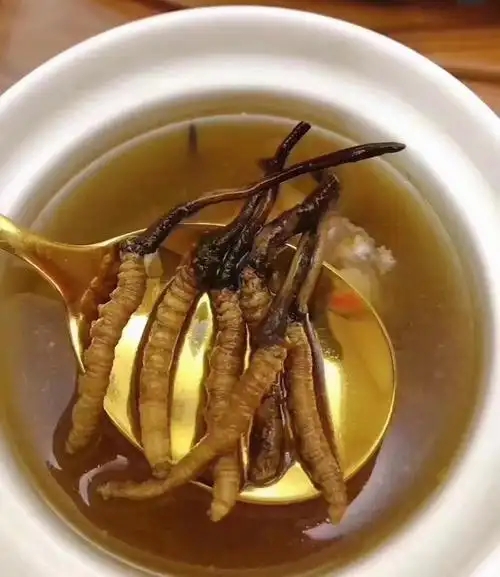 冰糖燉冬蟲夏草的做法，有什么功效?
