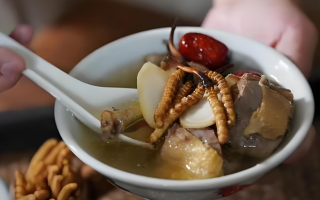 冬蟲夏草和什么一起燉可以治咳嗽？