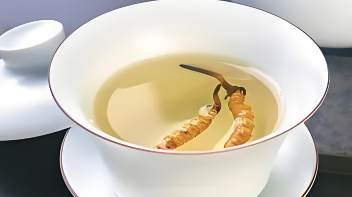 鮮冬蟲夏草可以煮水喝嗎？有什么功效和作用？