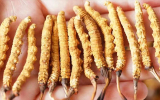 四歲寶寶能吃冬蟲夏草嗎？藏農(nóng)神草：科學(xué)滋養(yǎng)，守護(hù)孩童成長元氣